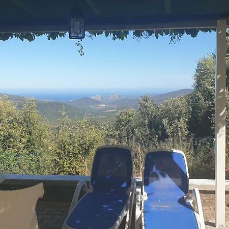 Vos Vacances A Lama France Corse Buitenkant foto
