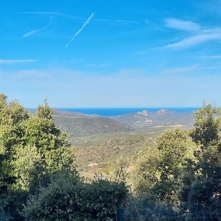 Vos Vacances A Lama France Corse Buitenkant foto