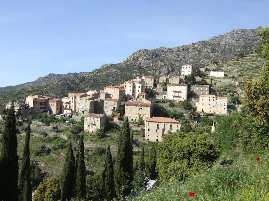 Vos Vacances A Lama France Corse Buitenkant foto