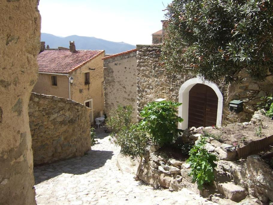 Vos Vacances A Lama France Corse Buitenkant foto