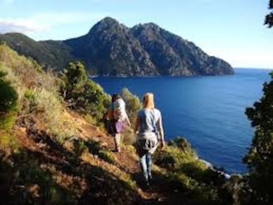 Vos Vacances A Lama France Corse Buitenkant foto