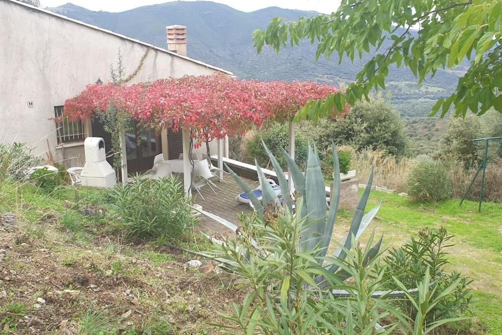 Vos Vacances A Lama France Corse Buitenkant foto