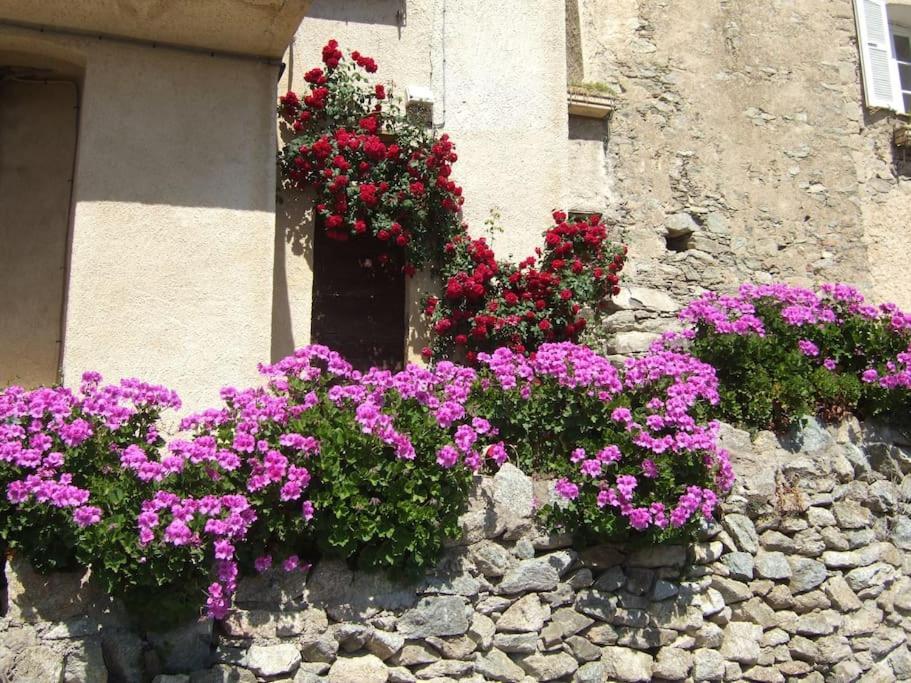 Vos Vacances A Lama France Corse Buitenkant foto