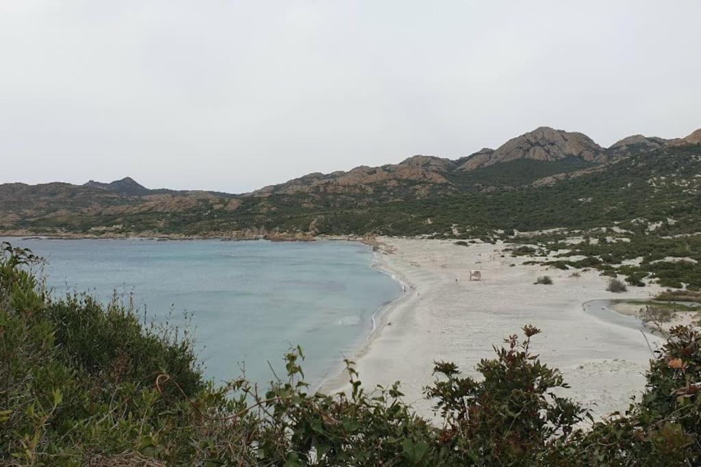 Vos Vacances A Lama France Corse Buitenkant foto