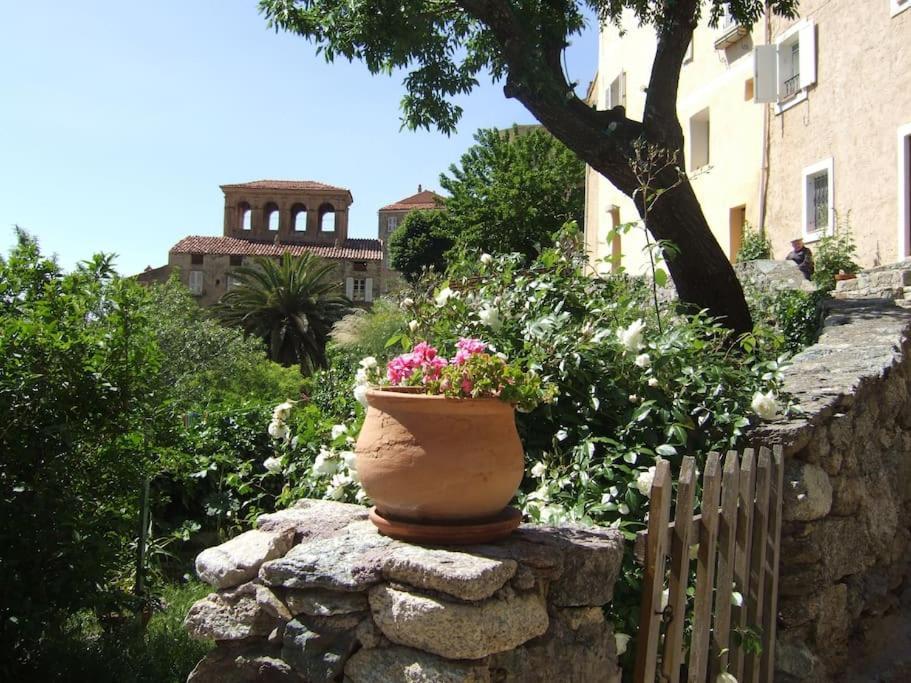Vos Vacances A Lama France Corse Buitenkant foto