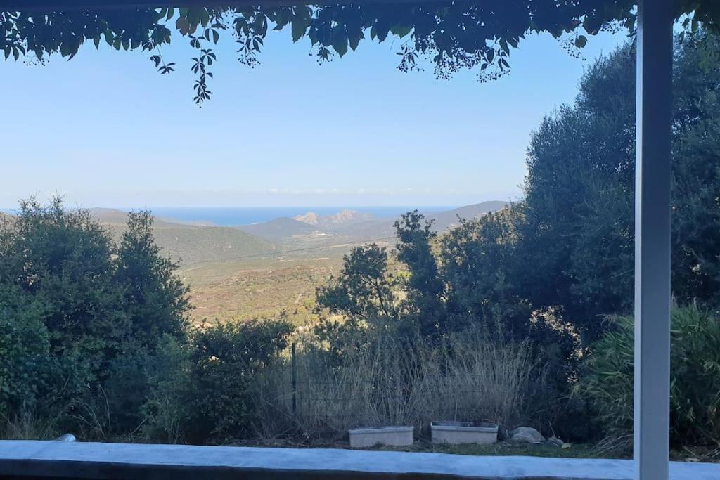 Vos Vacances A Lama France Corse Buitenkant foto